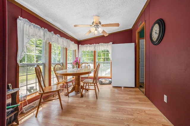 20920 68th St, South Haven, MI 49090 - photo 6