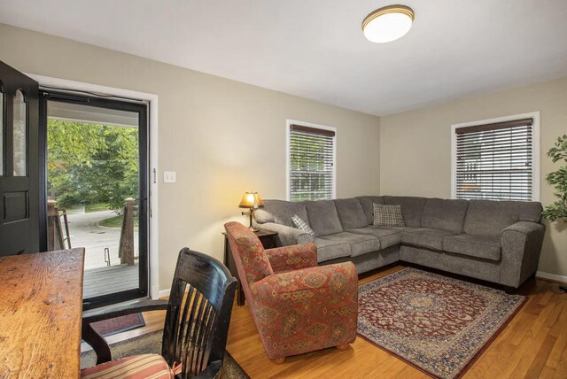 1307 Edgewood Ave, Ann Arbor, MI 48103 - living room featuring wood finished floors and plenty of natural light