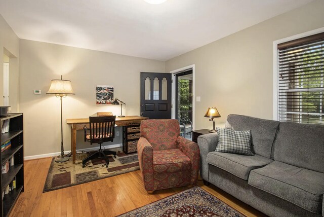 1307 Edgewood Ave, Ann Arbor, MI 48103 - home office featuring wood finished floors and baseboards