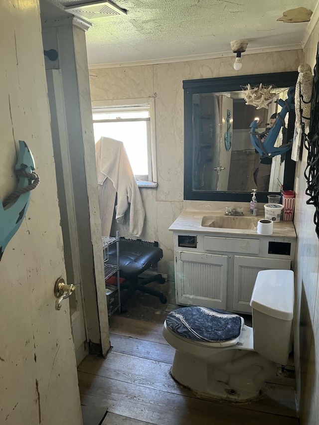 928 Trimble Ave, Kalamazoo, MI 49048 - half bathroom featuring hardwood / wood-style flooring, vanity, ornamental molding, and a textured ceiling