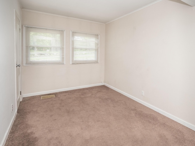 909 Royce Ave, Kalamazoo, MI 49001 - spare room with carpet floors and crown molding