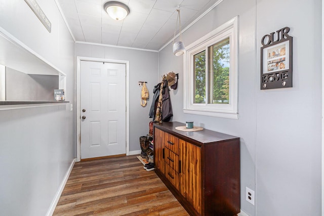 5468 S Custer Rd, Custer, MI 49405 - entryway with wood finished floors and ornamental molding