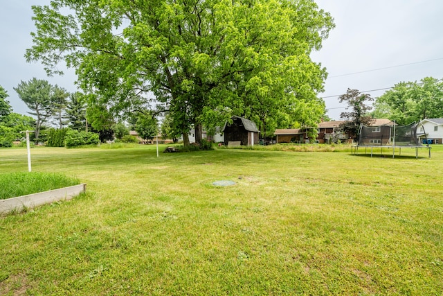 8741 Meadow Ln, Berrien Springs, MI 49103 - view of grassy yard with a trampoline