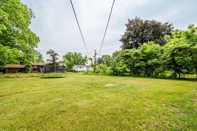 8741 Meadow Ln, Berrien Springs, MI 49103 - view of green lawn featuring a trampoline