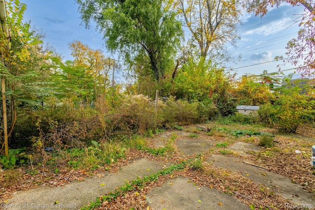 15822 Pierson St, Detroit, MI 48223 - photo 7