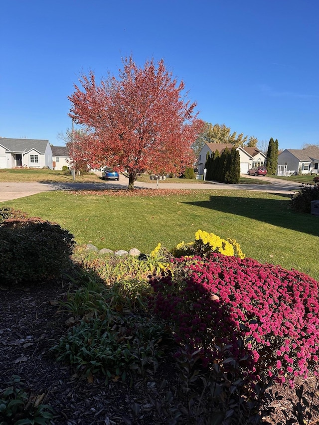 2973 Riley Ridge Rd, Holland, MI 49424 - view of grassy yard with a residential view