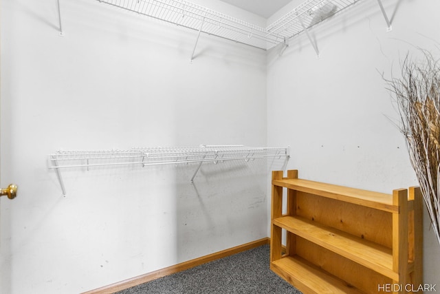2973 Riley Ridge Rd, Holland, MI 49424 - walk in closet featuring carpet floors