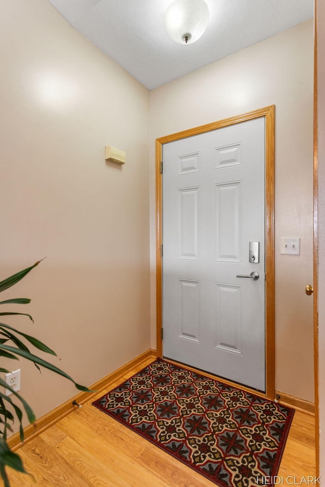 2973 Riley Ridge Rd, Holland, MI 49424 - entryway featuring light wood-type flooring and baseboards