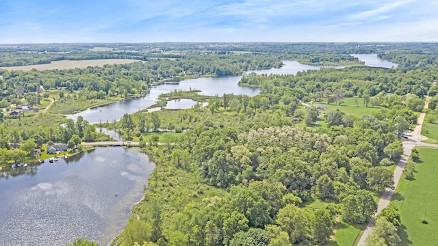 2759 Hemlock Rd, Quincy, MI 49082 - aerial view of property's location with a large body of water