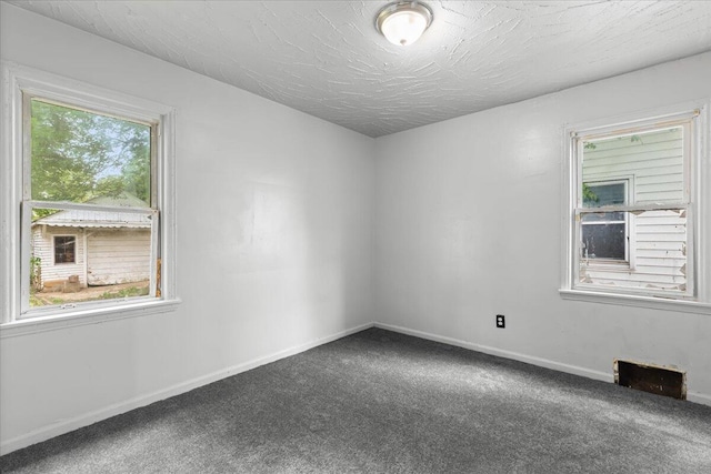 20192 Rogge St, Detroit, MI 48234 - carpeted spare room featuring baseboards