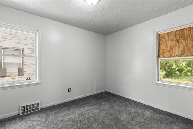 20192 Rogge St, Detroit, MI 48234 - unfurnished room featuring dark colored carpet and a textured ceiling