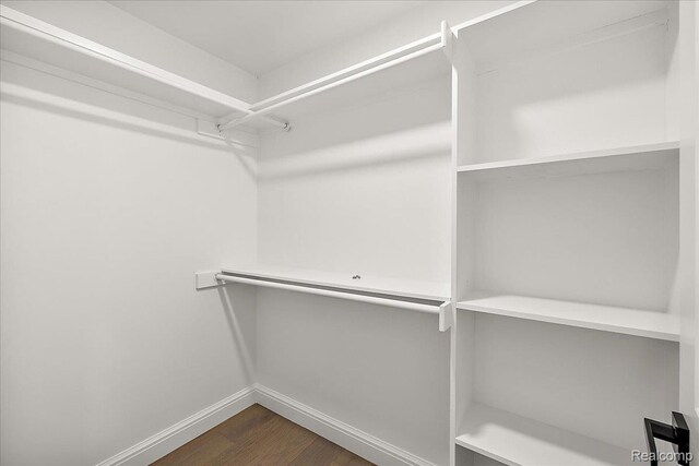 56350 Willow Creek Blvd, Utica, MI 48316 - spacious closet with dark wood-style flooring