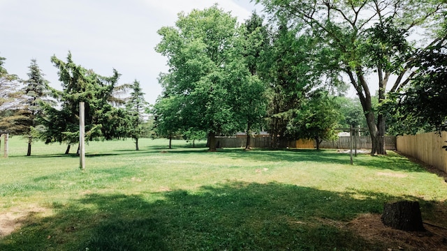 2250 Pray Rd, Charlotte, MI 48813 - view of yard