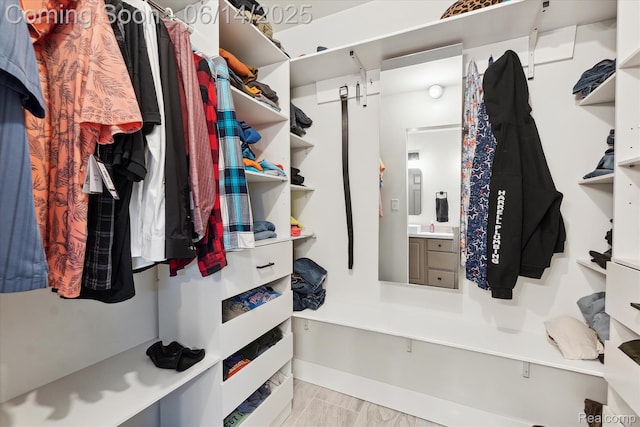 3328 S Vassar Rd, Burton, MI 48519 - view of walk in closet
