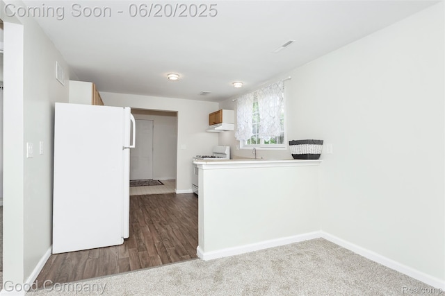 755 Robinwood St, Pontiac, MI 48340 - kitchen with white appliances, under cabinet range hood, and wood finished floors