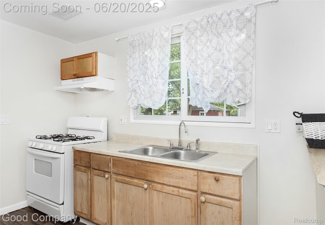 755 Robinwood St, Pontiac, MI 48340 - kitchen featuring white gas stove, under cabinet range hood, light countertops, and dark wood-type flooring