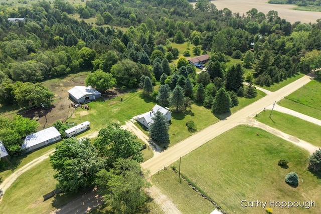 3119 S Hillman Rd, Sidney, MI 48885 - aerial view of a forest