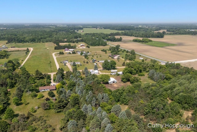 3119 S Hillman Rd, Sidney, MI 48885 - aerial overview of property's location featuring rural landscape