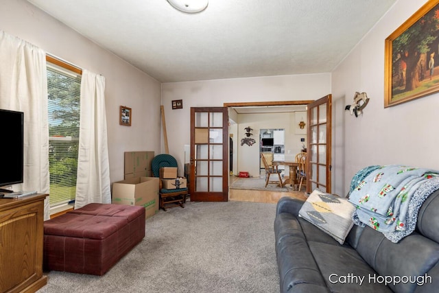 3119 S Hillman Rd, Sidney, MI 48885 - carpeted living room featuring french doors