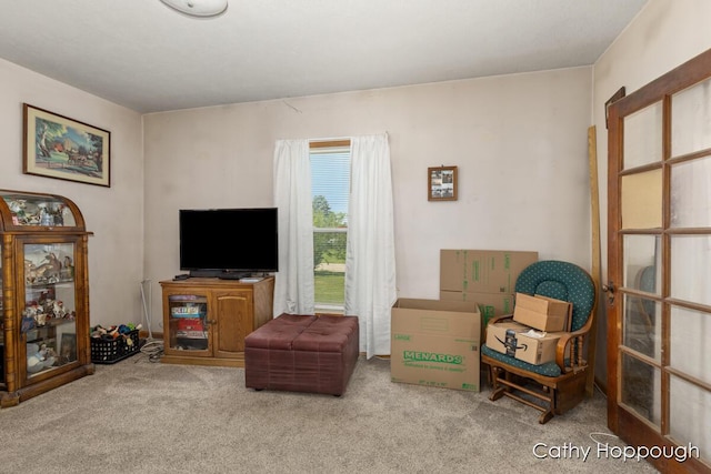 3119 S Hillman Rd, Sidney, MI 48885 - living area featuring carpet