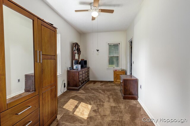 3119 S Hillman Rd, Sidney, MI 48885 - hall featuring dark carpet and baseboards
