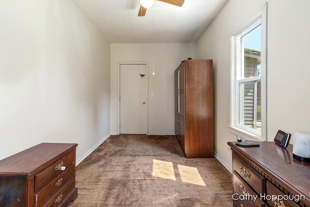 3119 S Hillman Rd, Sidney, MI 48885 - entryway featuring plenty of natural light, ceiling fan, and carpet