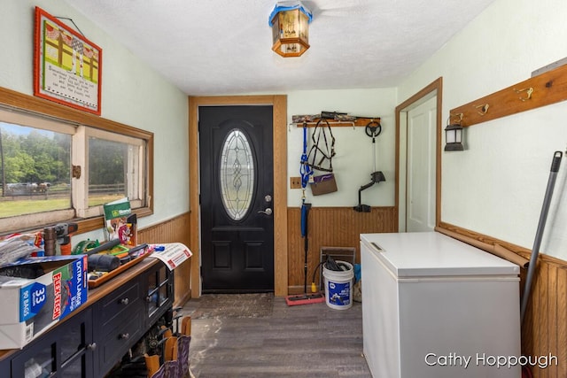 3119 S Hillman Rd, Sidney, MI 48885 - foyer with wainscoting, dark wood-style flooring, wooden walls, and a textured ceiling