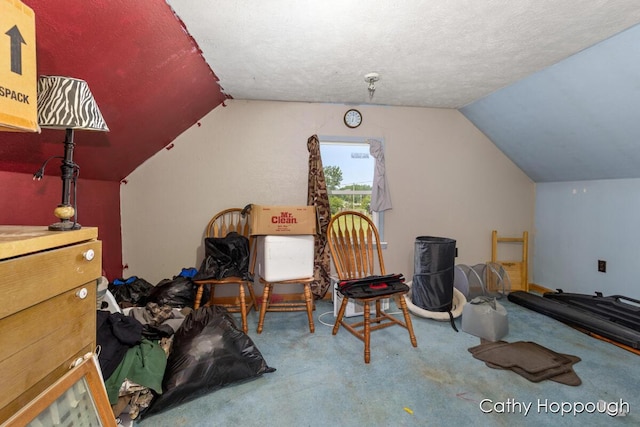 3119 S Hillman Rd, Sidney, MI 48885 - carpeted bedroom featuring lofted ceiling