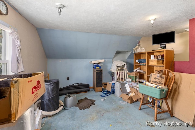 3119 S Hillman Rd, Sidney, MI 48885 - additional living space with carpet flooring, lofted ceiling, and a textured ceiling