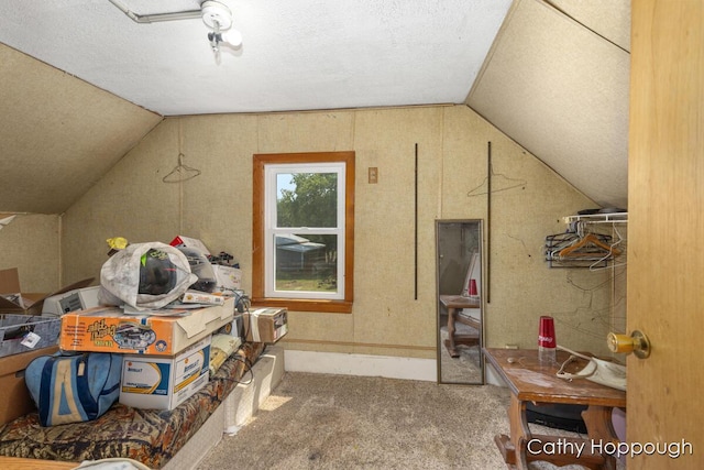 3119 S Hillman Rd, Sidney, MI 48885 - additional living space with vaulted ceiling, carpet flooring, and a textured ceiling