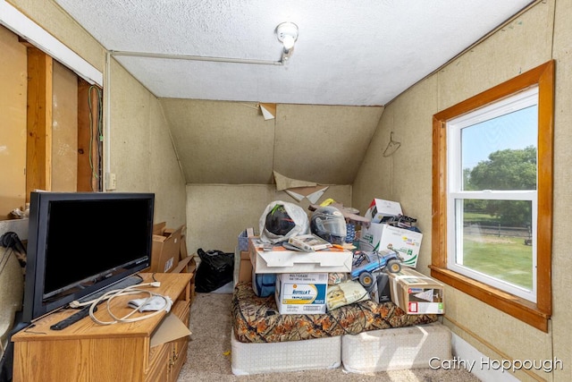 3119 S Hillman Rd, Sidney, MI 48885 - office space with carpet, vaulted ceiling, and a textured ceiling