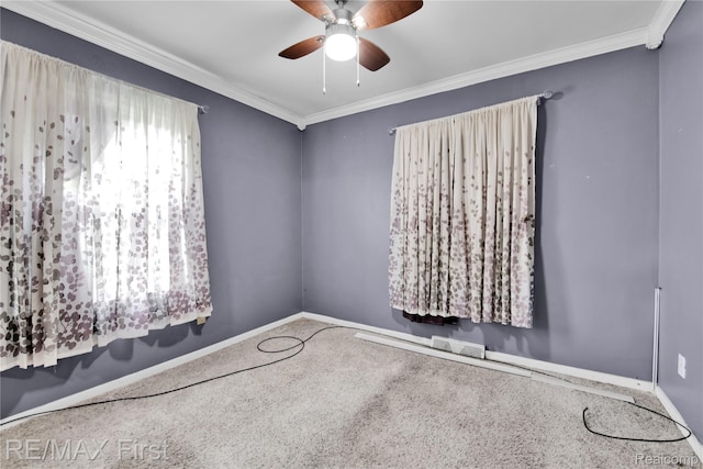 30555 Park St, Roseville, MI 48066 - photo 13