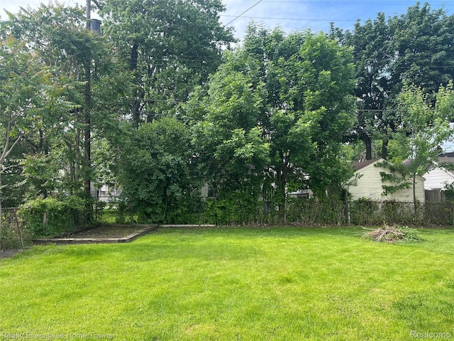 1209 Miller St, Port Huron, MI 48060 - view of yard