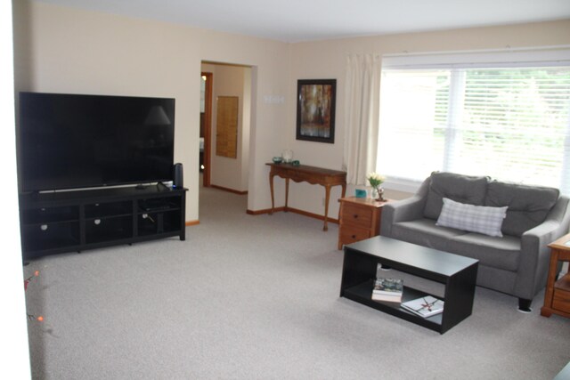 229 Riverside Dr, Hart, MI 49420