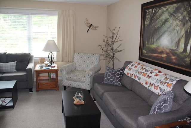 229 Riverside Dr, Hart, MI 49420 - living area featuring speckle patterned floor