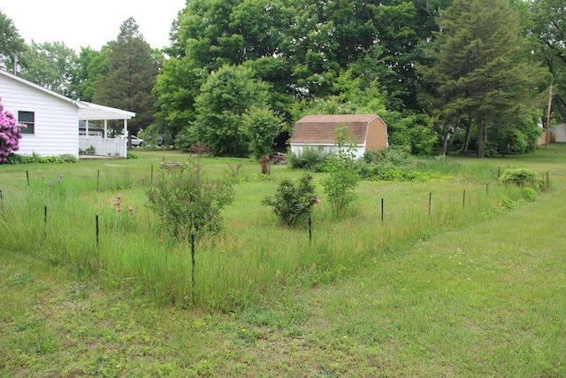 229 Riverside Dr, Hart, MI 49420 - view of yard featuring a storage shed