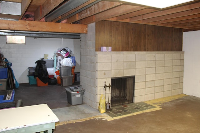 229 Riverside Dr, Hart, MI 49420 - basement featuring concrete block wall and a fireplace