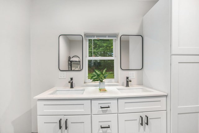 6490 Island Lake Rd, Holland, MI 49423 - full bath featuring double vanity