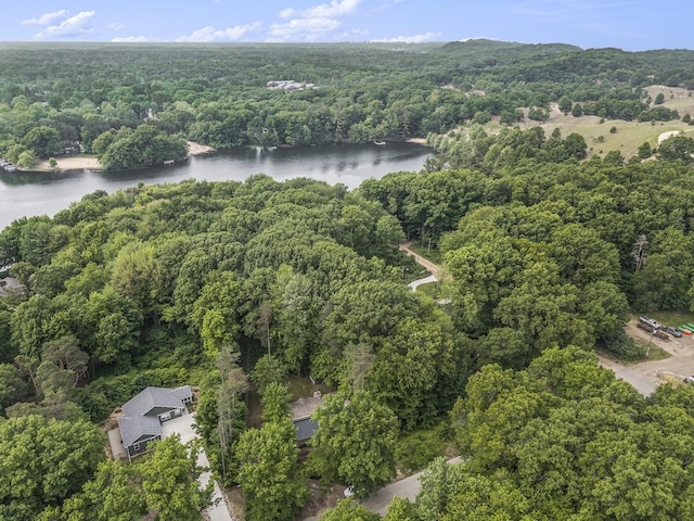 6490 Island Lake Rd, Holland, MI 49423 - aerial overview of property's location featuring a forest and a nearby body of water