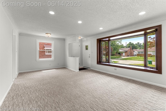 30345 Rush St, Garden City, MI 48135 - carpeted empty room featuring a textured ceiling, healthy amount of natural light, and recessed lighting