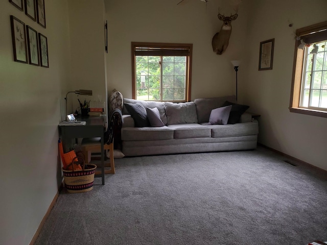 530 S Pine St, Mount Pleasant, MI 48858