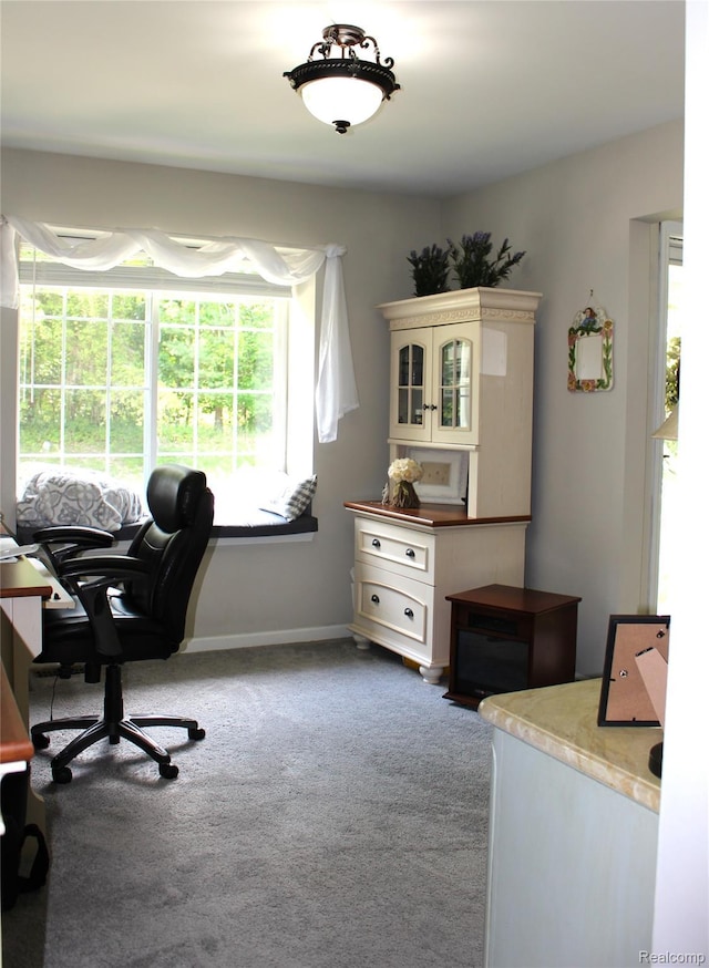 14361 Blue Heron Dr, Fenton, MI 48430 - office space featuring carpet flooring and baseboards