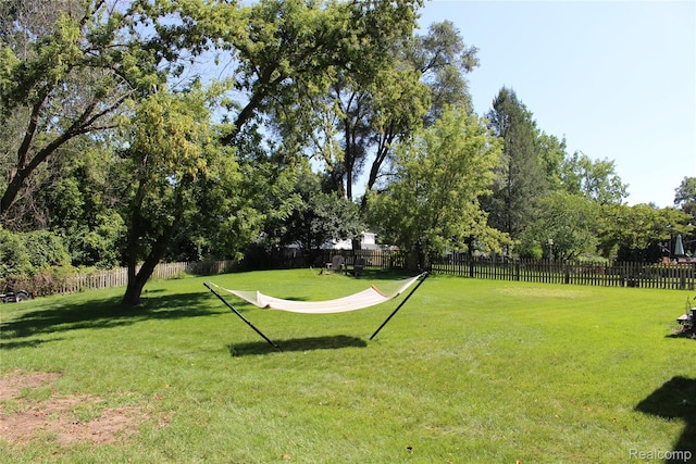 14361 Blue Heron Dr, Fenton, MI 48430 - view of yard