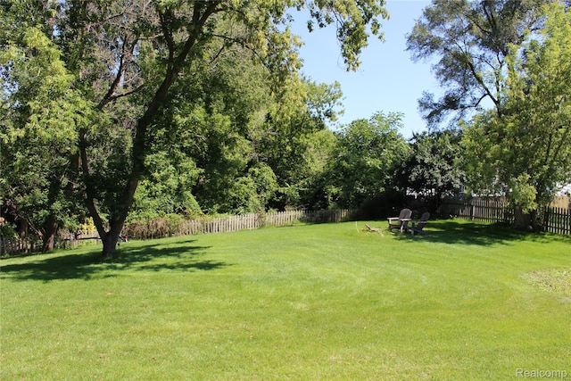 14361 Blue Heron Dr, Fenton, MI 48430 - view of yard