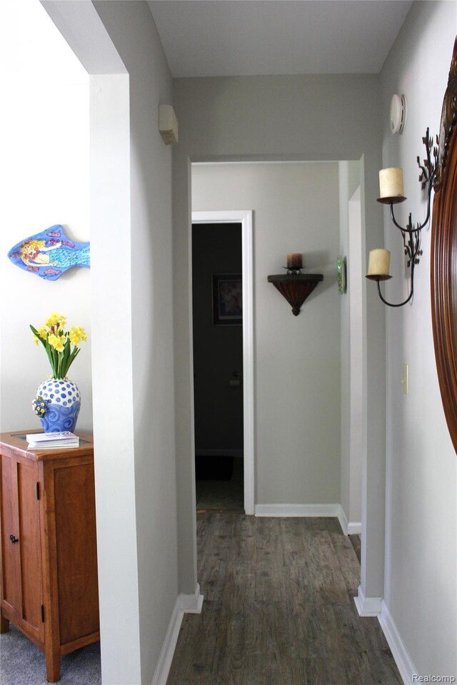 14361 Blue Heron Dr, Fenton, MI 48430 - hall with wood finished floors and baseboards