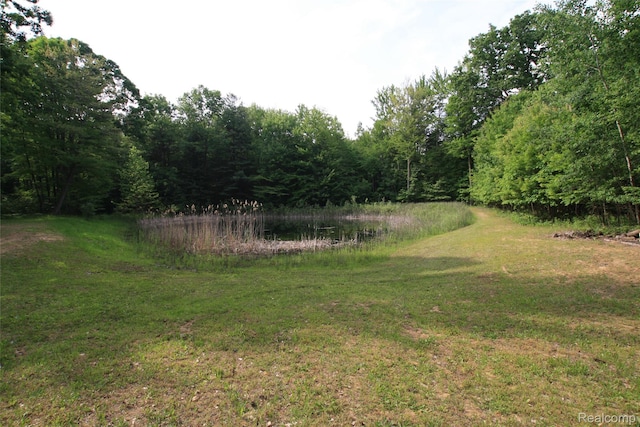 12850 E Rd, Burt, MI 48417 - view of green lawn featuring a wooded view and a water view
