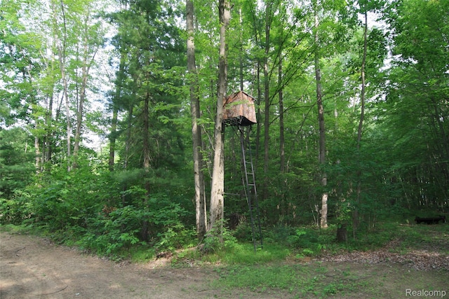 12850 E Rd, Burt, MI 48417 - view of woods