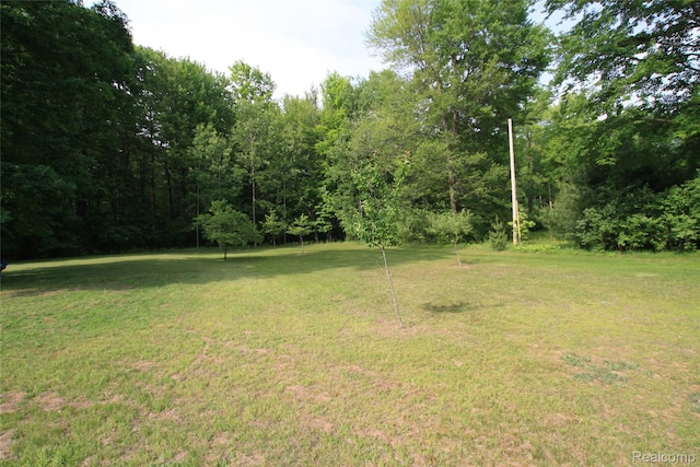 12850 E Rd, Burt, MI 48417 - view of grassy yard