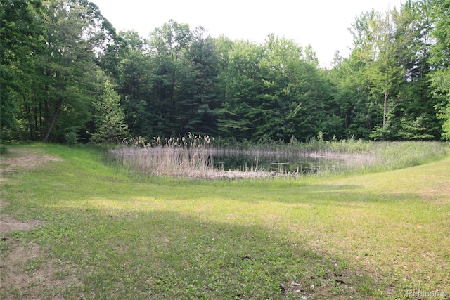 12850 E Rd, Burt, MI 48417 - view of yard featuring a water view