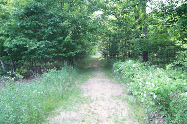 12850 E Rd, Burt, MI 48417 - view of tree filled area